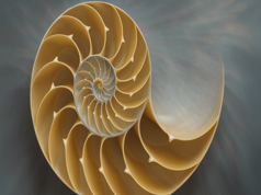 Fibonacci Retracement: A Compass for Bitcoin Trading Strategies